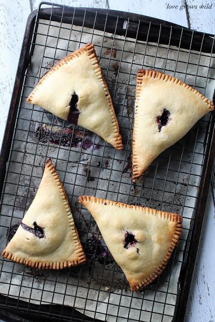 20 amazing blueberry recipes!  You won't want to miss these!