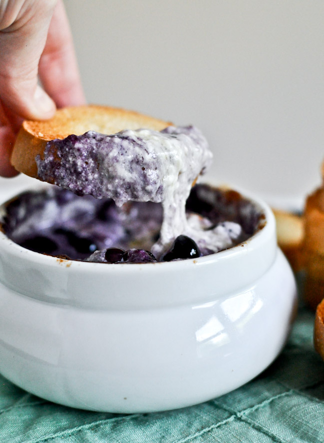 20 amazing blueberry recipes!  You won't want to miss these!