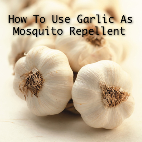 5 Surprising ways to use garlic.  Garlic is so cheap and plentiful everyone should use these!