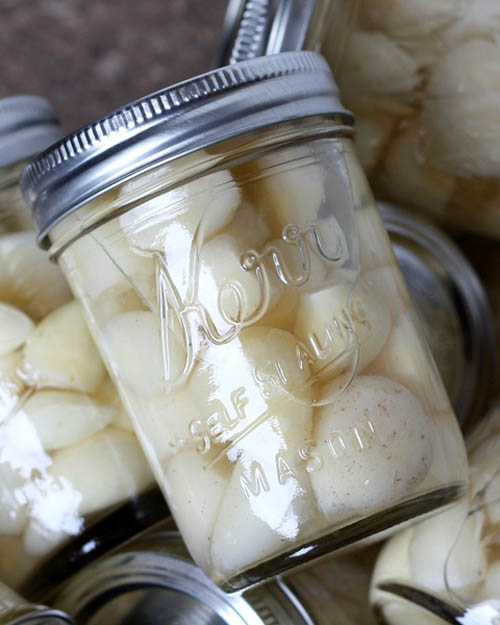 Incredible Garlic Recipes! i want to make them all from CA Grown