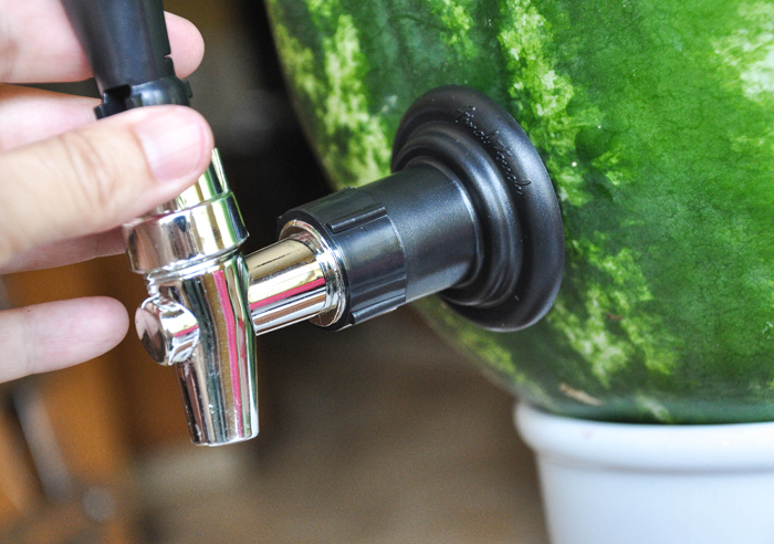 HOw to make a watermelon keg.  Step-by-step photo instructions!