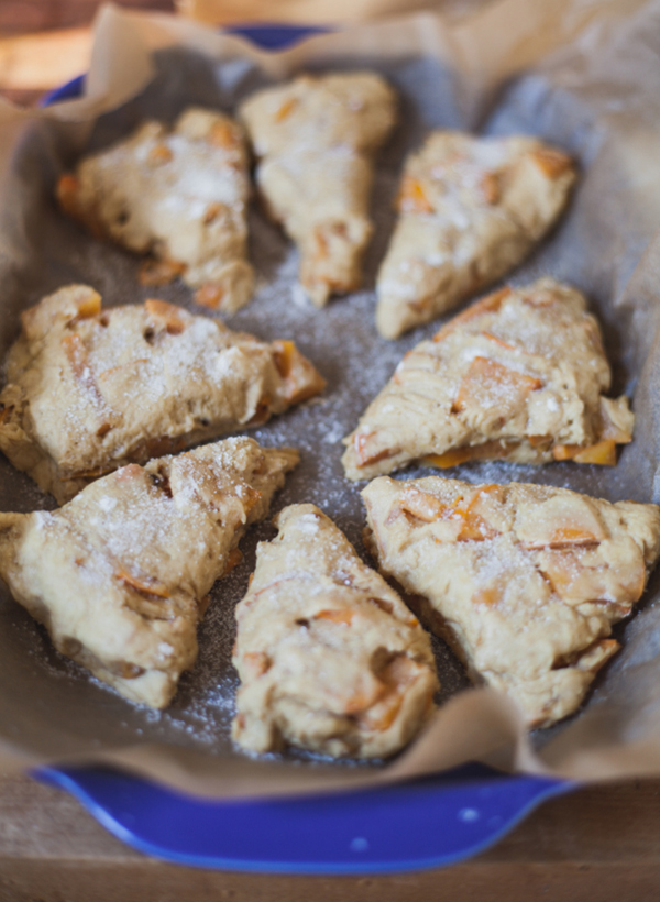 20 perfect uses for persimmons