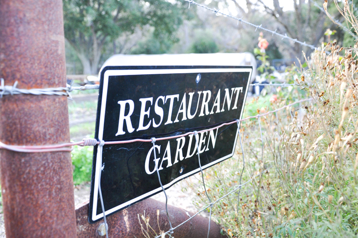 The Restaurant at Wente ~ Livermore, CA