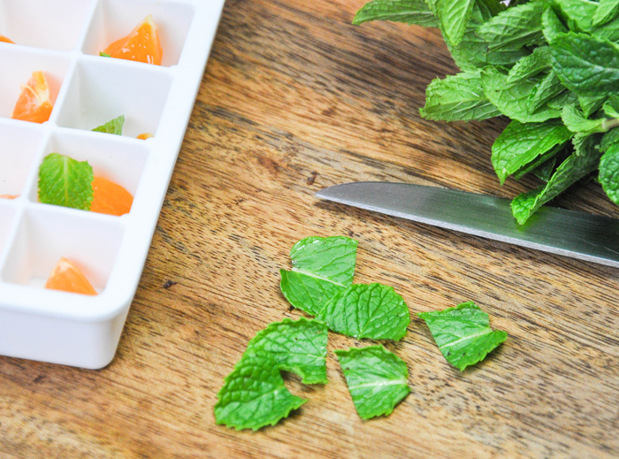 Citrus Mint Ice