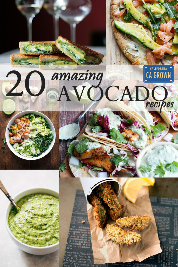 20 Amazing California Avocado Recipes