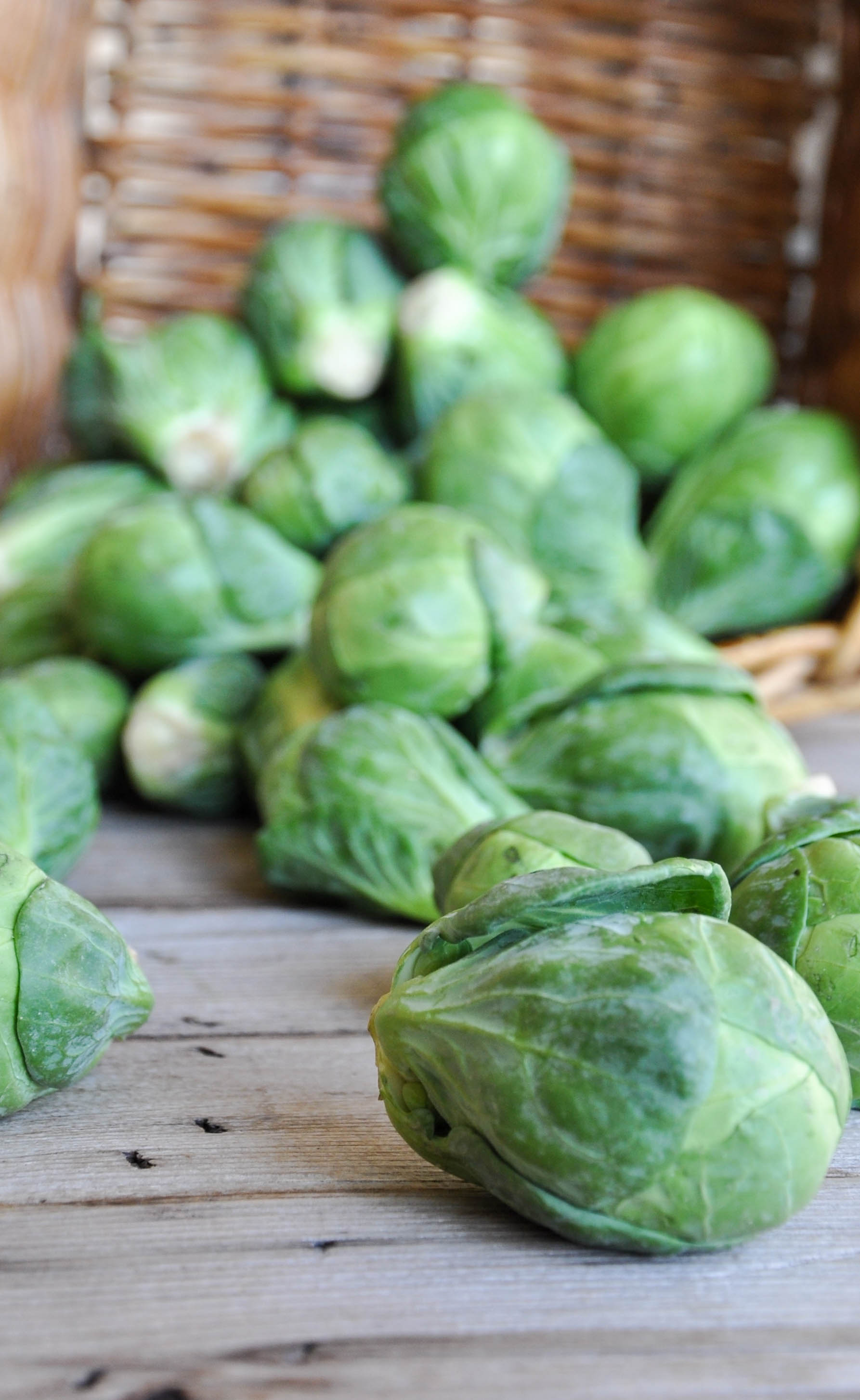 Bacon Pecan Brussels Sprout Salad