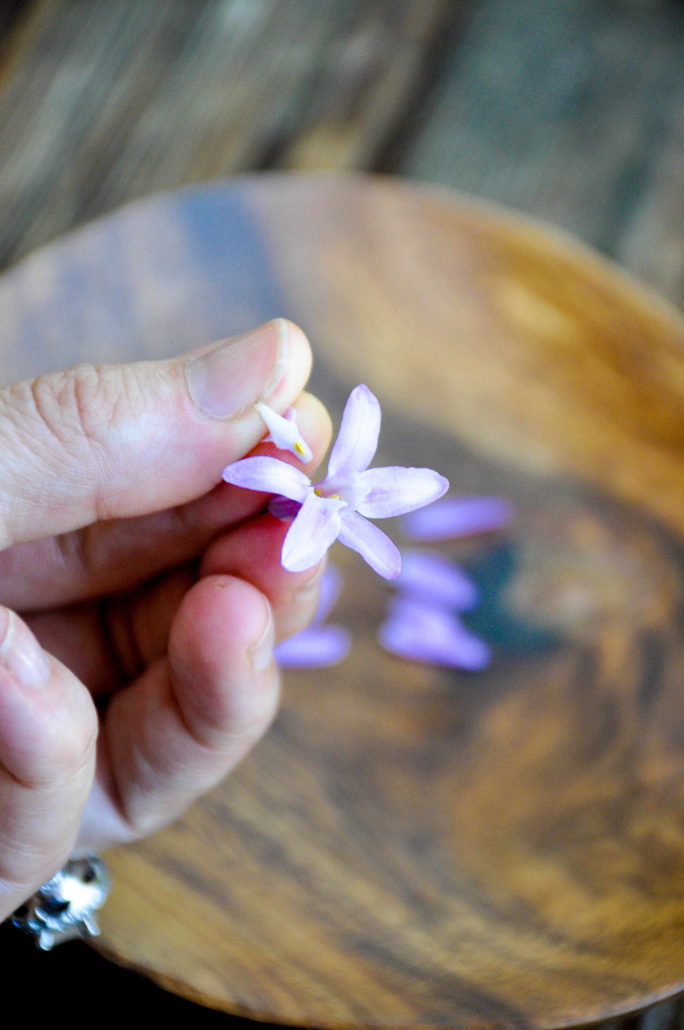 floral butter using edible flowers and herbs