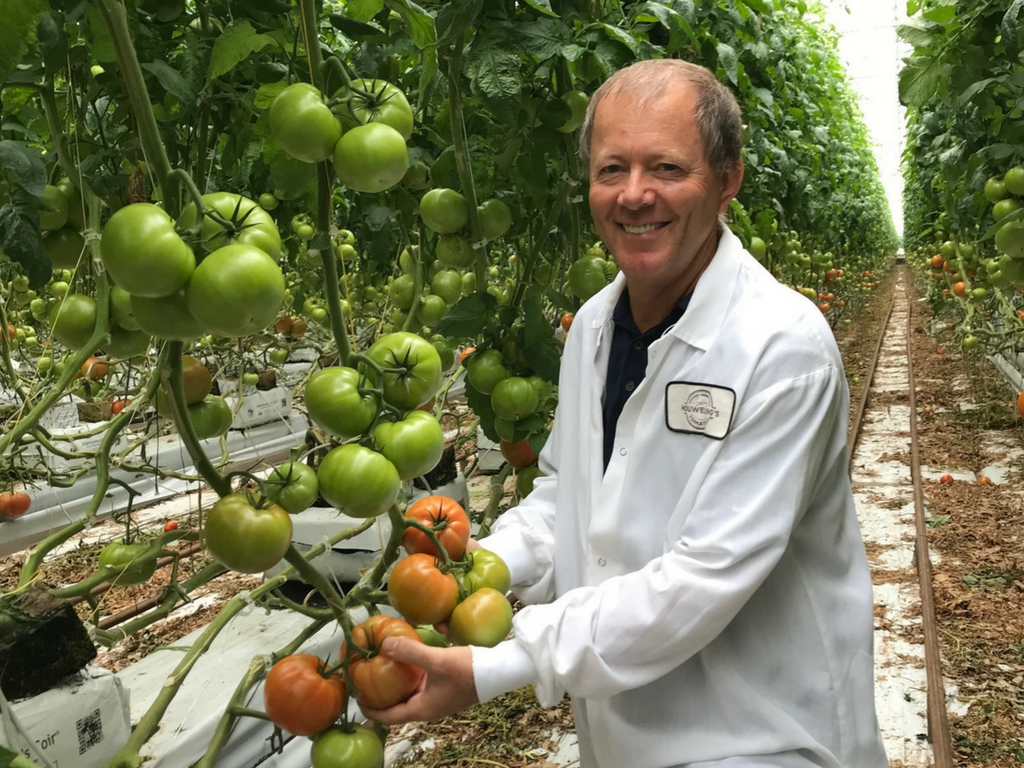 Meet a Farmer: Ion Sfetcu of Houwelings Tomatoes