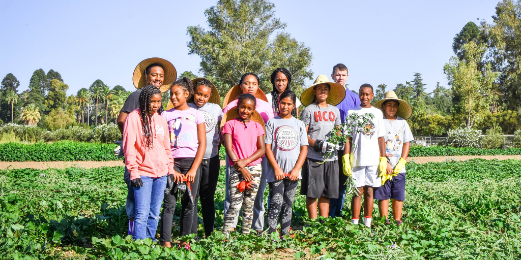 Meet a Farmer: The Sweet Potato Project