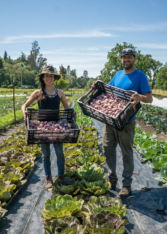 Meet a Farmer: Andy and Julia Henderson of Confluence Farms